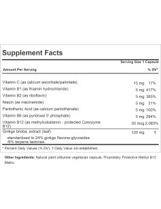 Ginkgo Biloba 120mg Andrew Lessman 180 Cápsulas Estandarizadas 2