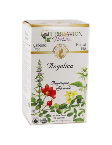 Raíz de Angélica Orgánica Celebration Herbals - 24 Bolsas