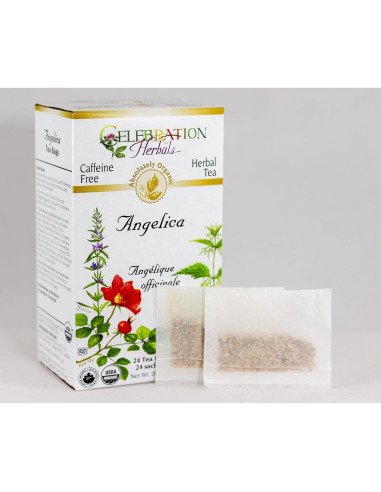 Raíz de Angélica Orgánica Celebration Herbals - 24 Bolsas