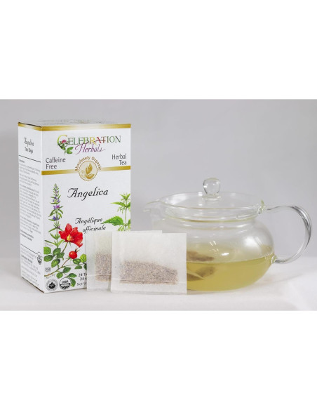 Raíz de Angélica Orgánica Celebration Herbals - 24 Bolsas Raíz de Angélica Orgánica Celebration Herbals - 24 Bolsas