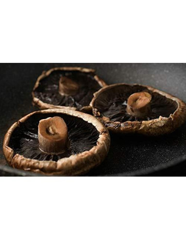 100g Micelio de Espora de Champiñón Portobello BetterFunig