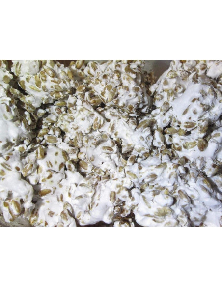 100g Micelio de Espora de Champiñón Portobello BetterFunig 100g Micelio de Espora de Champiñón Portobello BetterFunig