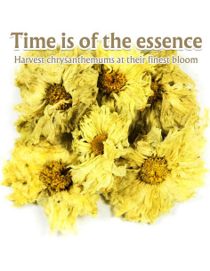 Té de Crisantemo Gephron 114g - Floral Sin Cafeína a Granel 2