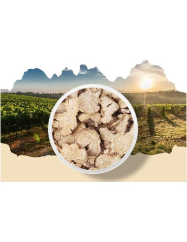 Hierbas Secas Atractylodes Japonica Orgánicas 100g - Sankol