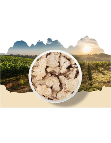 Hierbas Secas Atractylodes Japonica Orgánicas 100g - Sankol