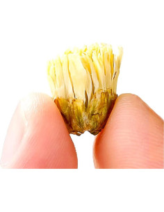 Té de Flores de Crisantemo 150g Yunnan Jiarui - Té Suelto 2