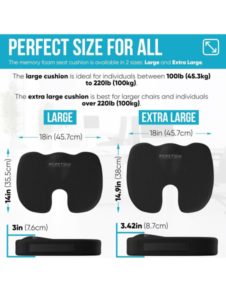 Cojín de Asiento y Almohada Lumbar FORTEM Espuma Memoria