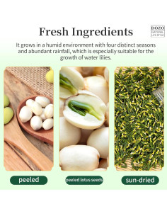 Té Herbal DOZO de Semilla de Loto Seco 300g - Calidad Premium 2