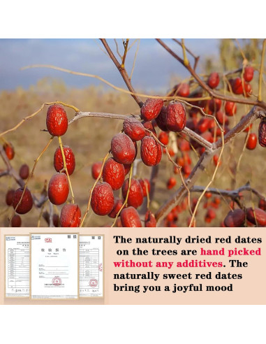 Dátil Rojo Seco Shengmingxi 500g Jujube Snack Saludable