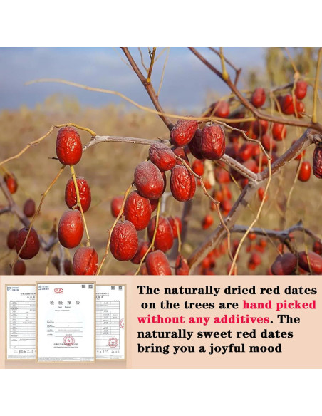 Dátil Rojo Seco Shengmingxi 500g Jujube Snack Saludable