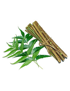 Cepillo de dientes natural Datun de Neem 12.7 cm - Cuidado bucal