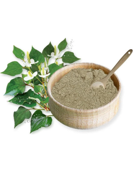 Extracto en polvo de Houttuynia Cordata Goodlife 300g