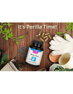 Cápsulas Perilla Clear Dragon Herbs - 60 Cápsulas 500 mg 2