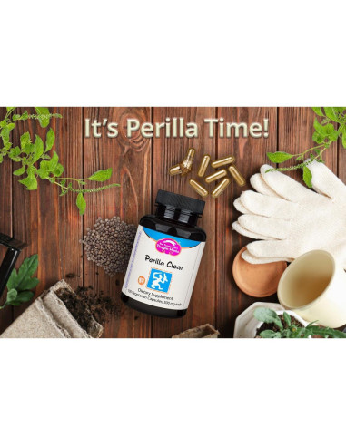 Cápsulas Perilla Clear Dragon Herbs - 60 Cápsulas 500 mg