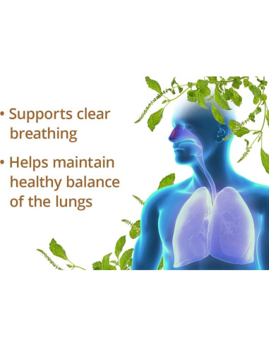 Cápsulas Perilla Clear Dragon Herbs - 60 Cápsulas 500 mg