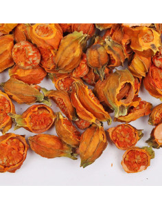 Hierbas Secas a Granel Goodlife Fruta de Gardenia 300g 2