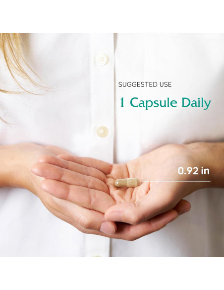 Extracto de Trébol Rojo Vitanica 500mg - 60 Cápsulas Veganas