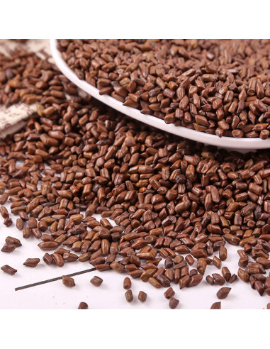 Té de Semillas de Cassia 500 g Jue Ming Zi - Sabor a Café