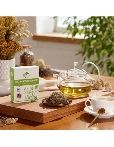 Té Herbal Bolsa de Pastor OVVA 50g - Capsella Bursa-Pastoris