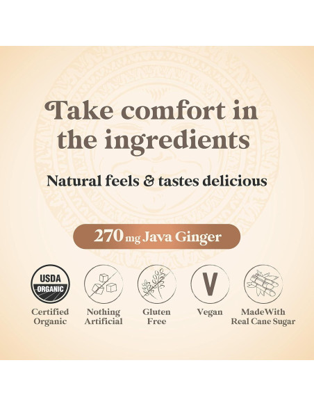 Chimes Chews Jengibre Mango 453g Bolsa Natural