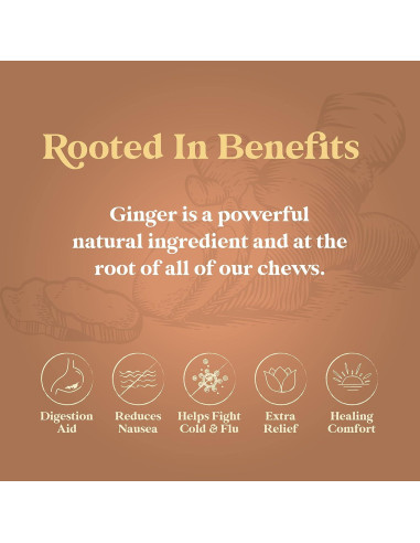 Chimes Chews Jengibre Mango 453g Bolsa Natural