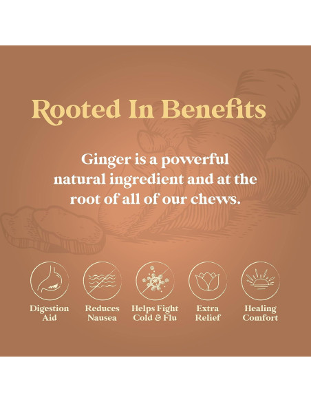 Chimes Chews Jengibre Mango 453g Bolsa Natural