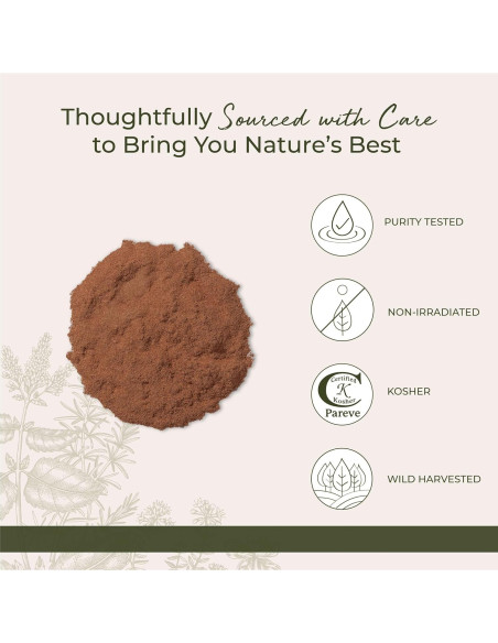 Polvo de Corteza Interna de Uña de Gato Starwest Botanicals 0.45 kg Polvo de Corteza Interna de Uña de Gato Starwest Botanicals 0.45 kg