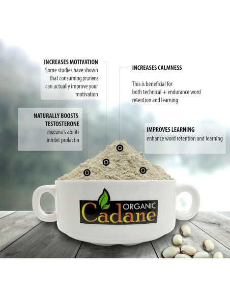 Polvo de Mucuna Pruriens Orgánico Cadane 0.45 kg | Suplemento Vegano