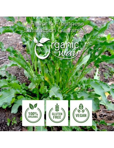 Raíz de Diente de León Amarillo Orgánica 454g - Organic Way