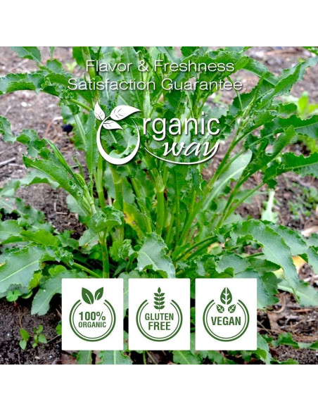 Raíz de Diente de León Amarillo Orgánica 454g - Organic Way Raíz de Diente de León Amarillo Orgánica 454g - Organic Way