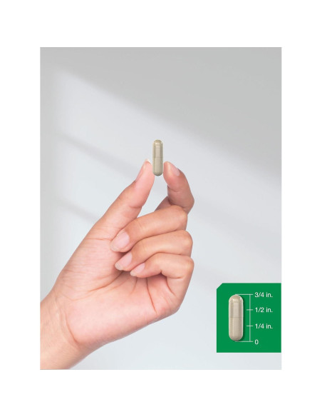 Extracto de Saw Palmetto Horbaach 900mg 200 Cápsulas Sin OGM Extracto de Saw Palmetto Horbaach 900mg 200 Cápsulas Sin OGM