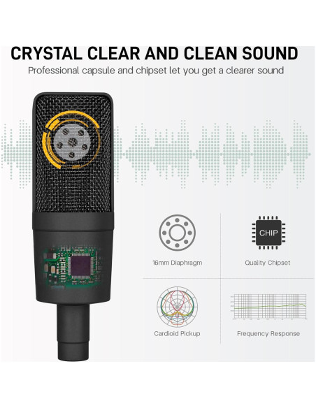 Micrófono XLR iQlQPQ con Soporte y Filtro Antipop