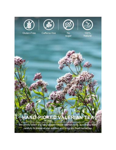 Té de Raíz de Valeriana TeeLux 454g - Sin Cafeína, Natural