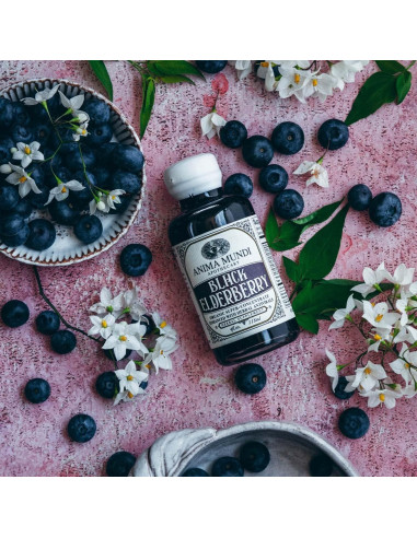 Jarabe de Saúco Negro Anima Mundi 59ml - Apoyo Inmunológico