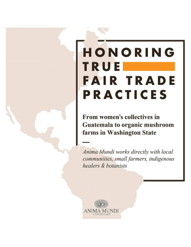 Jarabe de Saúco Negro Anima Mundi 59ml - Apoyo Inmunológico