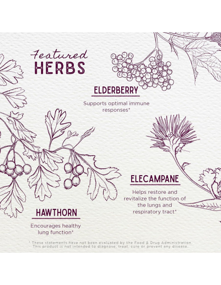 Jarabe Calmante para la Tos WishGarden 118 ml - Herbal Natural