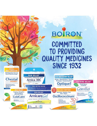 Boiron Arnica Montana 12C Homeopatía para Dolor Muscular - 3 Paquetes