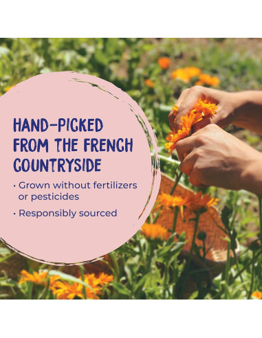 Crema de Caléndula Boiron 70.87 g - Primeros Auxilios Piel