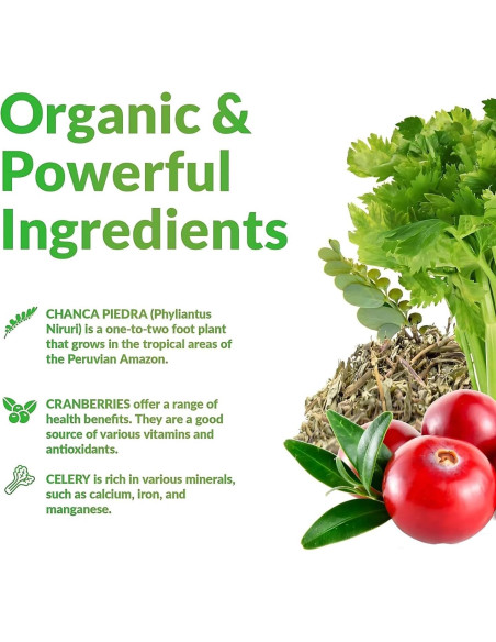 Chanca Piedra Logic Nutra 120 Tabletas 800 mg - Rompe Piedras Renales