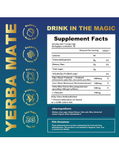 Té de Yerba Mate Durazno Mango THEANECHO - 30 Porciones 2