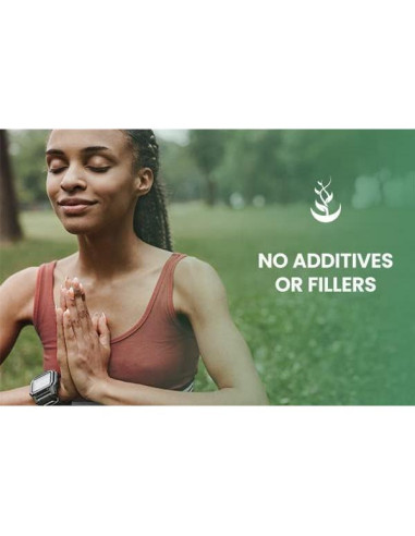 Cápsulas de Yerba Mate Ingredientes Originales Puros 365 Unidades