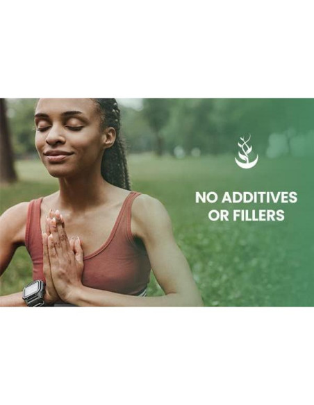 Cápsulas de Yerba Mate Ingredientes Originales Puros 365 Unidades