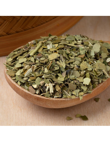 Cápsulas de Hoja de Yerba Mate Earthborn Elements 200 Unidades