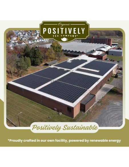 Té Orgánico Yerba Mate Positivamente - 20 Bolsitas Té Orgánico Yerba Mate Positivamente - 20 Bolsitas