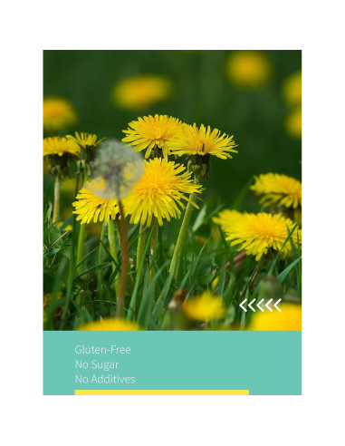 Bolsas de Té de Raíz de Diente de León Tostada HYNTMYT 120 Unidades