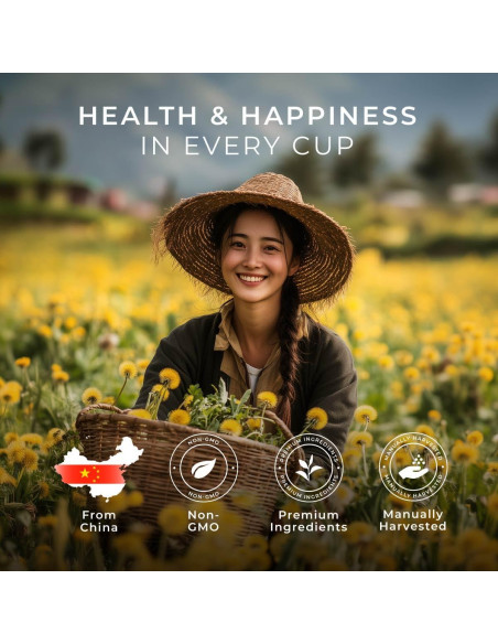 Té Herbal Gya Tea Co Diente de León 16 Cápsulas Sin Cafeína Té Herbal Gya Tea Co Diente de León 16 Cápsulas Sin Cafeína