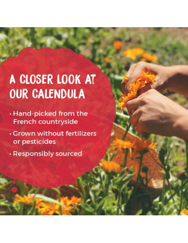 Crema de Caléndula Boiron 70.87g - Medicina Homeopática Piel