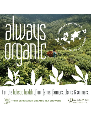 Yerba Mate Hoja Suelta Davidson 453g Orgánica Brasil