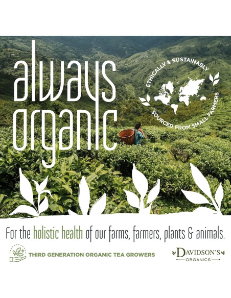 Yerba Mate Hoja Suelta Davidson 453g Orgánica Brasil