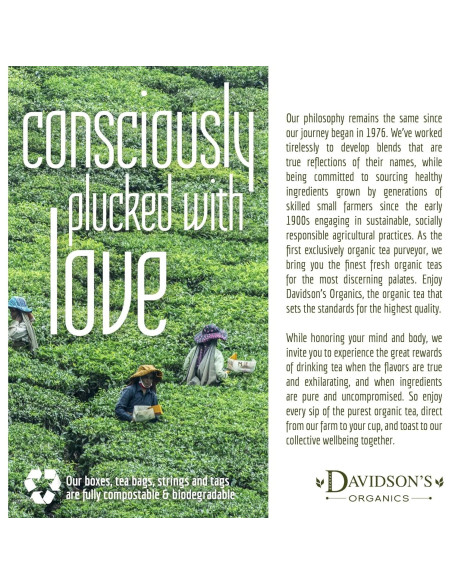 Yerba Mate Hoja Suelta Davidson 453g Orgánica Brasil